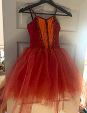 Revolution Dancewear Girls Dance Tutu Dress Multi Nylon Costume LC RC25703