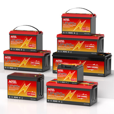 LiFePO4 12V 24V 48V 100Ah 140Ah 200Ah 300Ah 400Ah Lithium Batterie BMS RV Solar