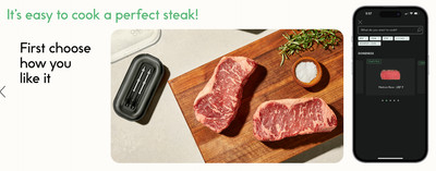 CHEF iQ Smart Wireless Meat Thermometer 2 Ultra-Thin Probes with Smart Hub