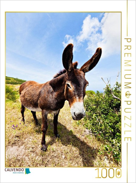 Calvendo Puzzle Esel In Der Landschaft 1000 Teile Puzzle Hoch | 1000 Teile Lege--image