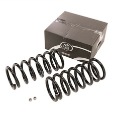 Schraubenfedern (VA) Austauschschraubenfedern für die Vorderachse 001.EC241