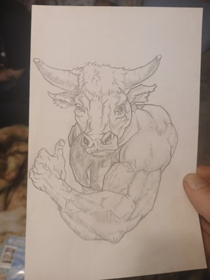 Strong BULL    Drawing