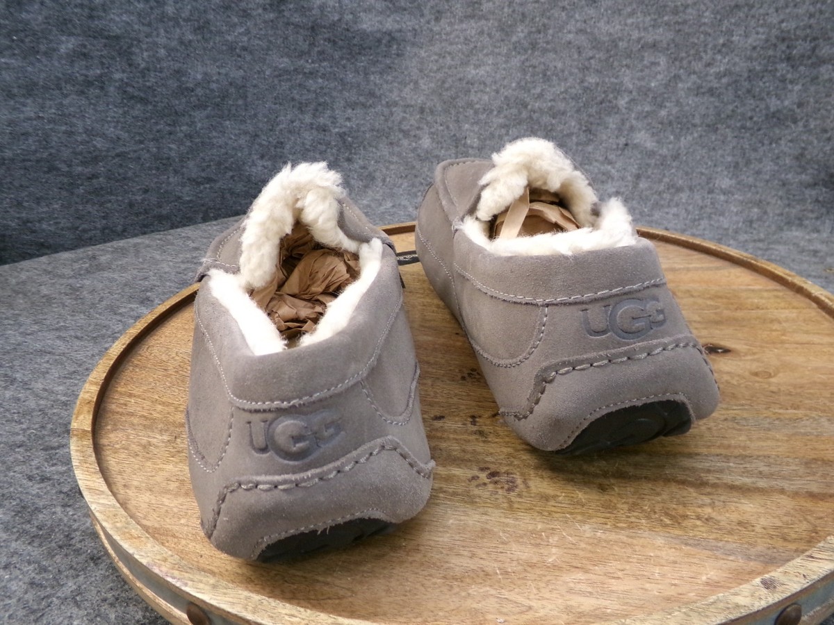 UGG Ascot Slippers Men