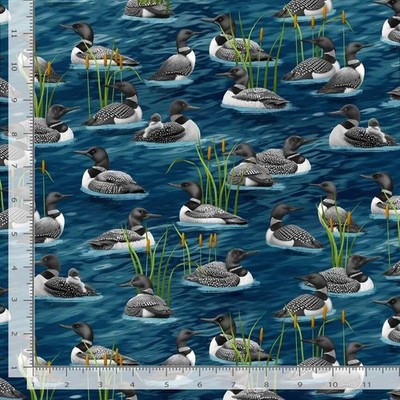 Loon Bird Duck Water Fowl Fabric By The Yard Cotton Timeless Treasures CD2858