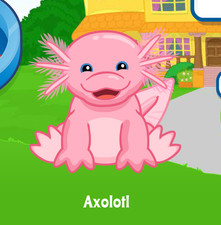 Webkinz Axolotl Virtual Adoption Code Only Messaged Webkinz Pink Axolotl Code
