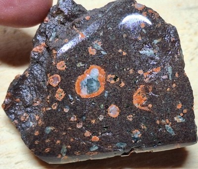 Beautiful Hand Polished Amygdaloidal Basalt With Feldspar Calcite And More