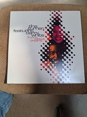 TINA TURNER IN YOUR WILDEST DREAMS BARRY WHITE 12'' VINYL RECORD CLUB MIXES 1996