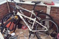 Carrera Valour Mountain Bike