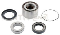 Snr R173.19 Radlagersatz Hinten FüR Delica Space Gear L 300 L200 Triton L400
