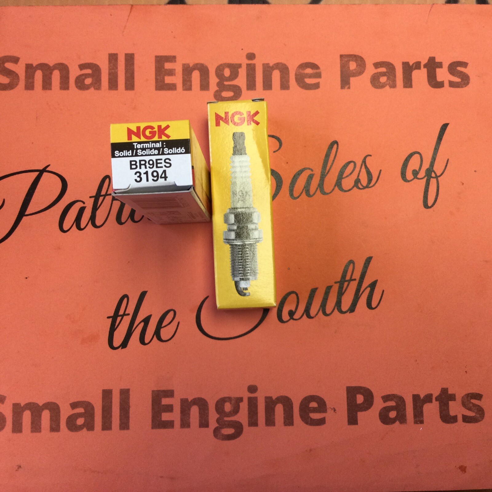 2pk Spark Plug-Standard NGK 3194 BR9ES