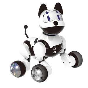 robot interattivo per bambini