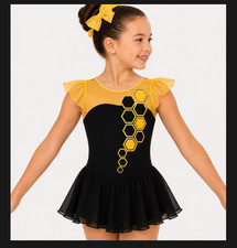 Figure Skating Dress Ice Skating Dress Competition Skating Wear