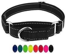 Country Brook Petz  Reflective Nylon Martingale Dog Collar