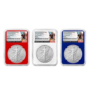2016 Silver Eagle 30th Anniversary | eBay