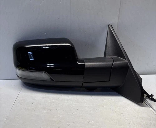 2023-2024 Dodge Ram 1500 Right Passenger Door Mirror OEM W/camara Bliss