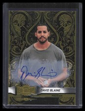 David Blaine #20