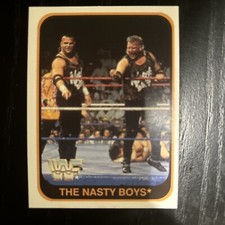 1991 Merlin WWF - Italian #113 Nasty Boys