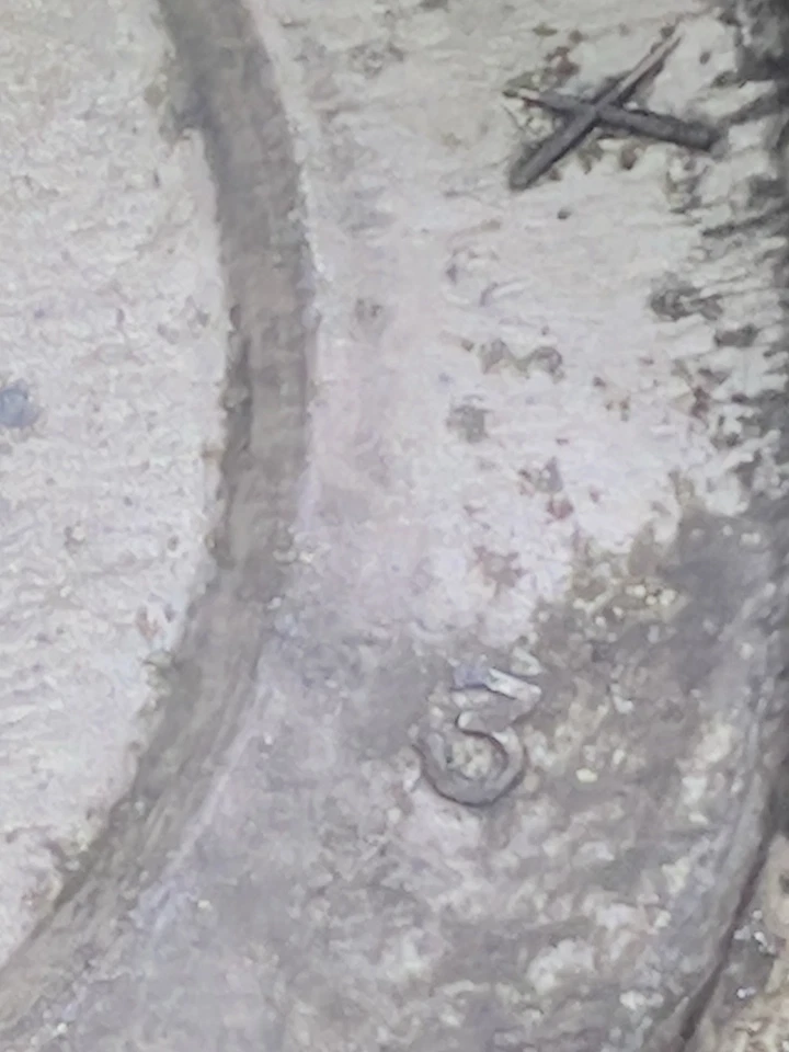 Chevrolet Corvette Nova Camaro Chevelle 1969-1982 tapa central P/N 3925805 Foto 2 de 4