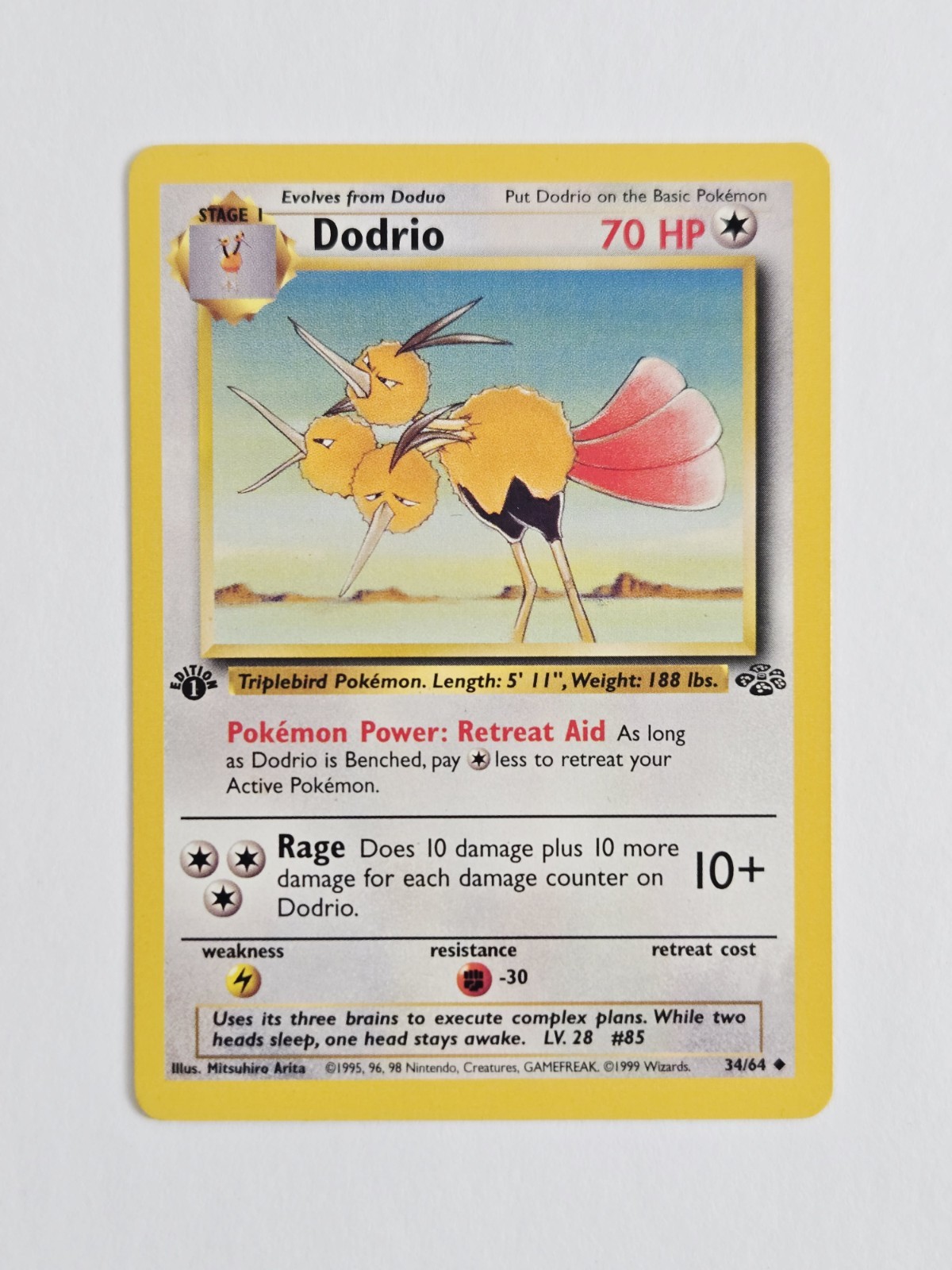 Dodrio 34/64 Jungle Regular 1st Edition - NM