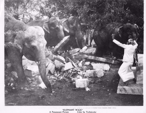 Elephant Walk" Vintage Movie Still | eBay