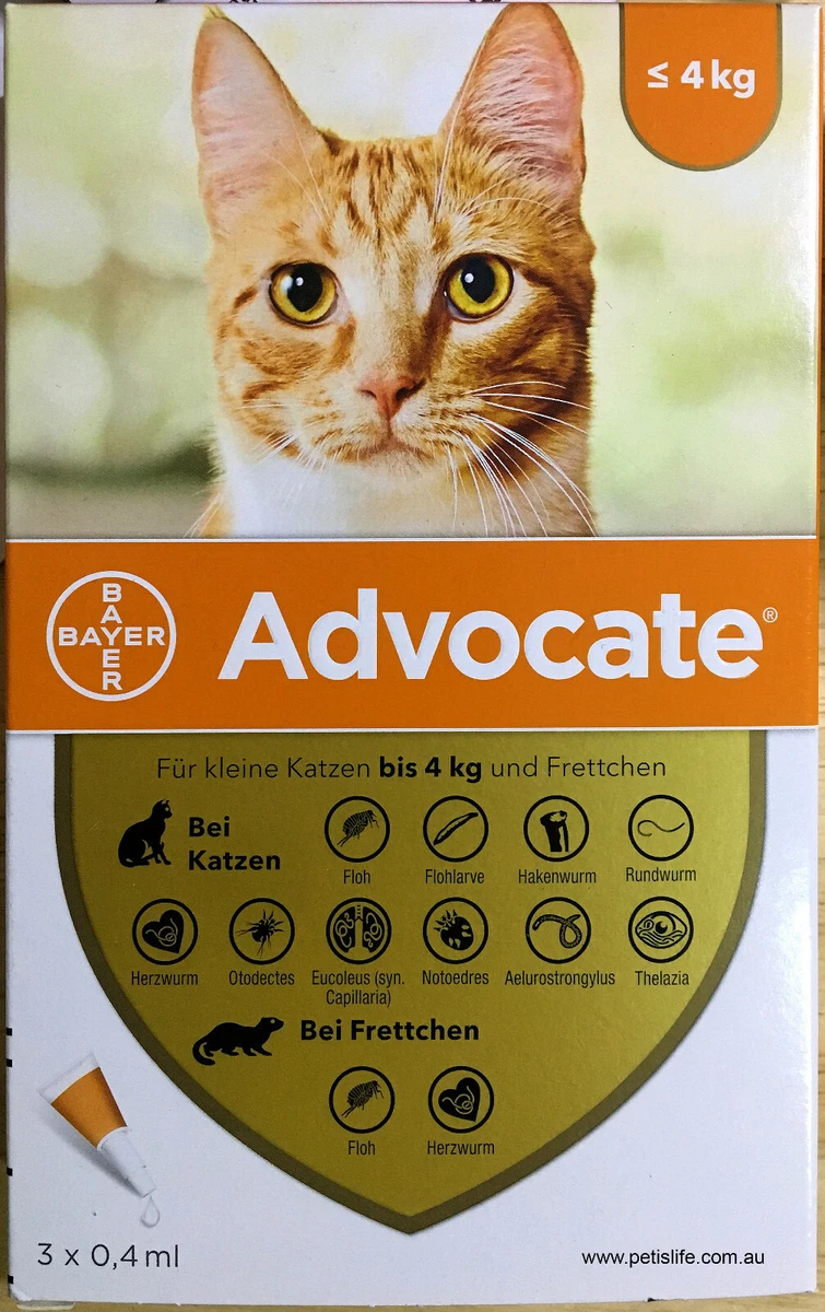 Advocate for cats deals