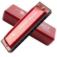 Key of C 10 Hole Blues Harmonica with Case