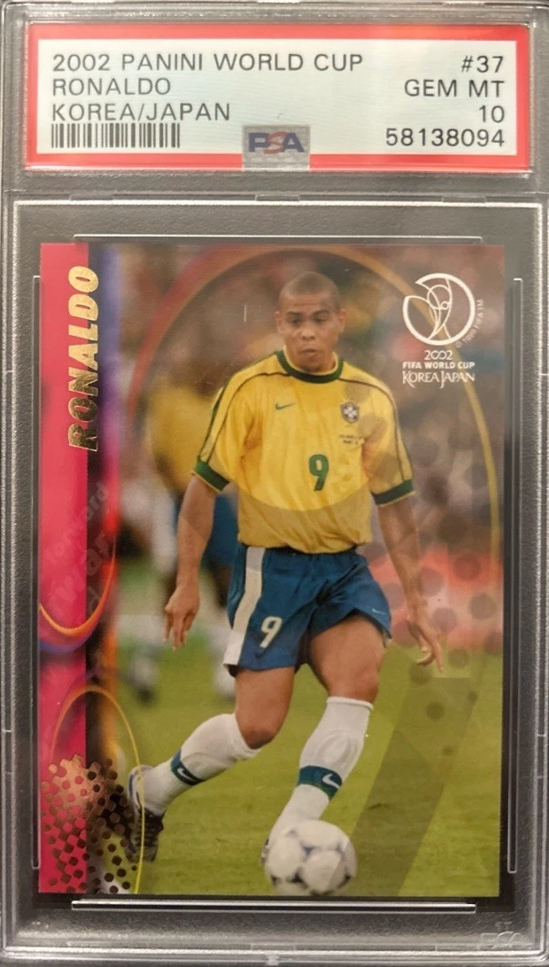 Album vide Panini coupe du monde 2002 + stickers - Collection