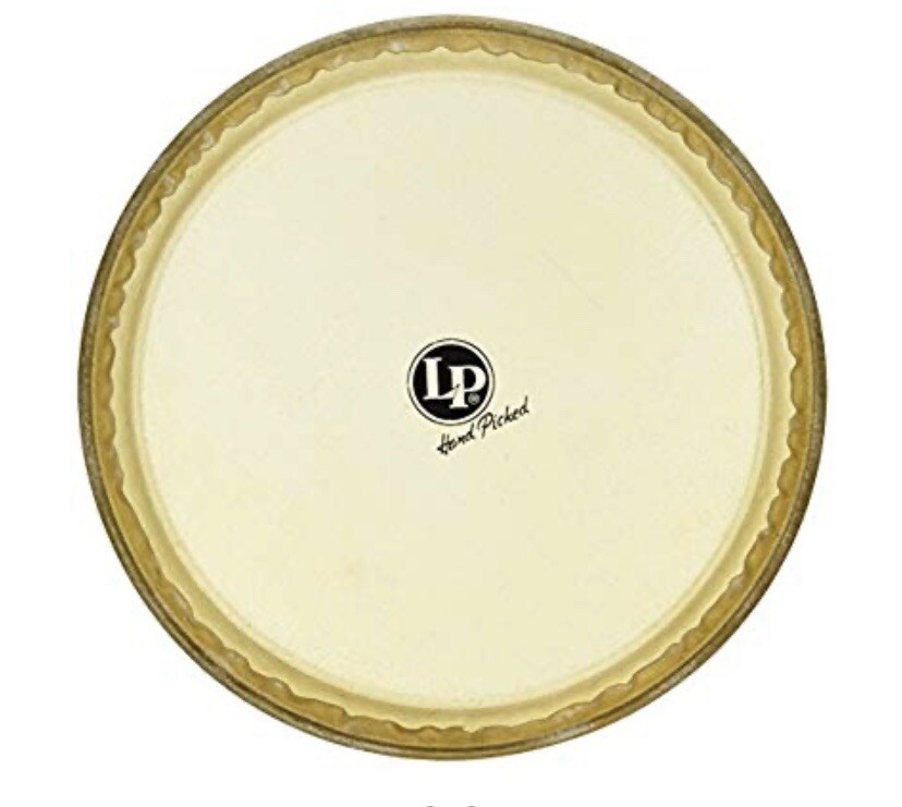 Latin Percussion LP265B 11-3/4” Rawhide Conga Head | eBay
