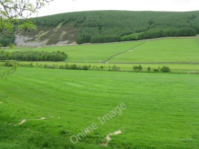 Foto 6x4 Tweeddale Landschaft Kingledores Grasfelder im flacheren Bereich c2010