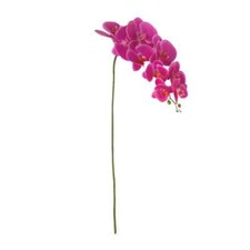 Artificial Real Touch Cymbidium Orchid Stem