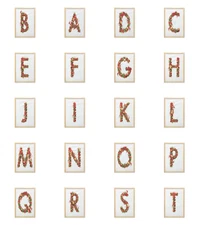 Ambesonne Christmas Alphabet Wall Art with Frame for Bathrooms Living Room Dorms