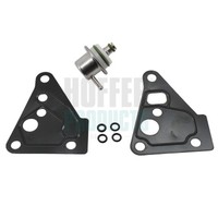 Hoffer Kraftstoffdruckregler 8029521 FüR VW Passat B5 3B3 Variant 3B6 3B2 3B5 T5