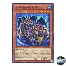 Mermail Shadow Squad N ROTA-JP018 RAGE OF THE ABYSS Yu-Gi-Oh! Japanese