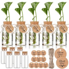 12 Pack 3.54'' Plastic Plant Propagation Stations with Hole Lid 4oz Planter V...