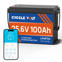 24V 100Ah Lithium Batterie Lifepo4 Akku Mit BMS FüR Solar Wohnmobil Boot