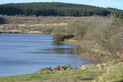 Foto 6x4 Das Ostufer von Llyn Blaenmelindwr Cwmsymlog Ein Angler kann um 2017