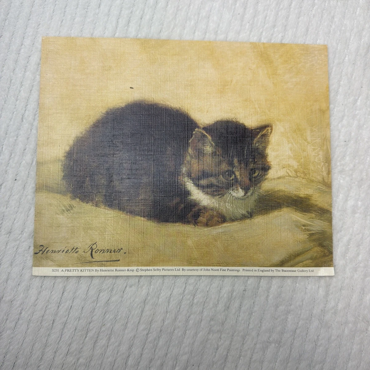Henriette Ronner 猫 絵皿 Henriette Ronner 猫 絵皿 Henriette Ronner
