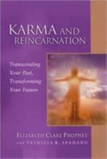 Karma and Reincarnation: Transcending Your Past, Transforming Y... 9780922729616