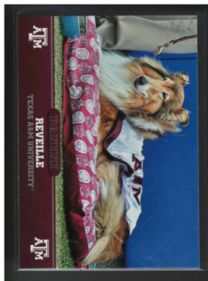 A9874- 2015 Panini Texas A+M Karten 1-50 + Einsätze -du Pick- 15 + Free US