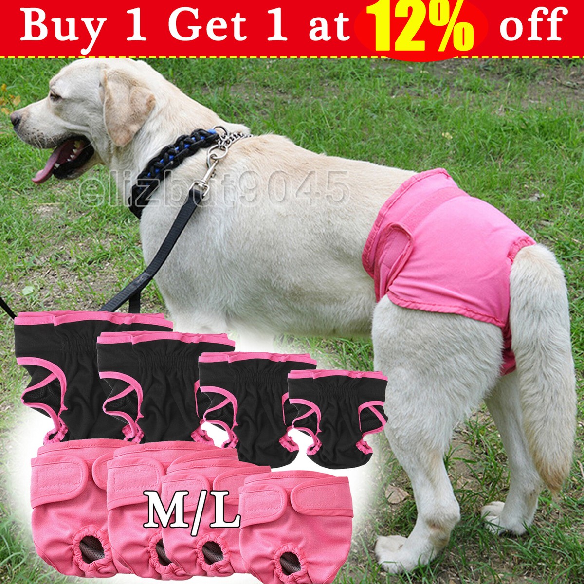 Stages How Long Does Female Dog Period Last In Season What Does A