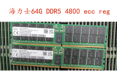 SKhynix 64GB DDR5 2R*4 EC8 RDIMM PC5-4800B-RA0-1010-XT Support