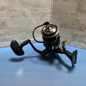 Daiwa Morethan Branzino | eBay
