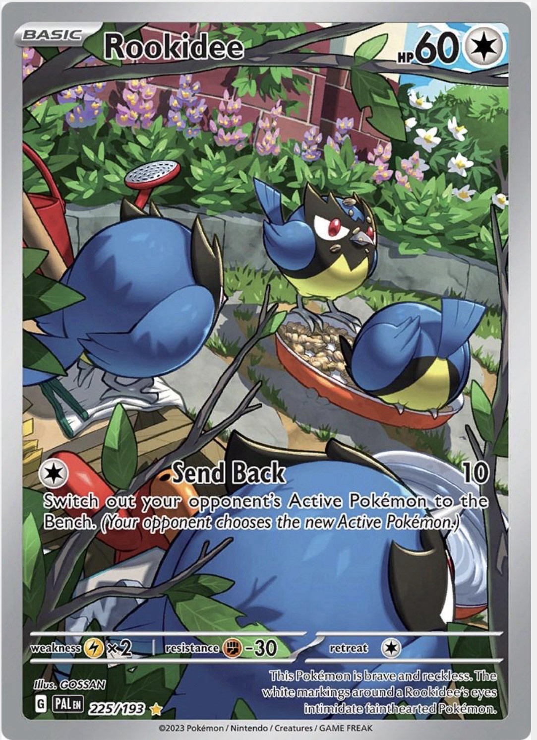 Rookidee Holo Pokémon Paldea Evolved Card 225/193 Sv02