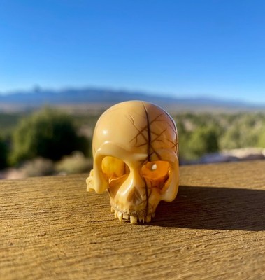 Fossil Netsuke Skull Carving, Beautiful and Intricate detail