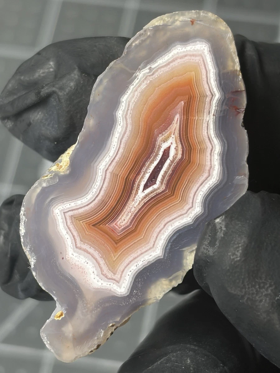 Laguna Agate for sale | eBay
