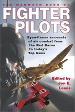 Fighter Pilots : Eyewitness Accounts of Air Combat