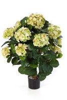 artplants Kunst Hortensie Haruka, 540 BlüTen, Creme - GrüN, Deluxe, 60Cm