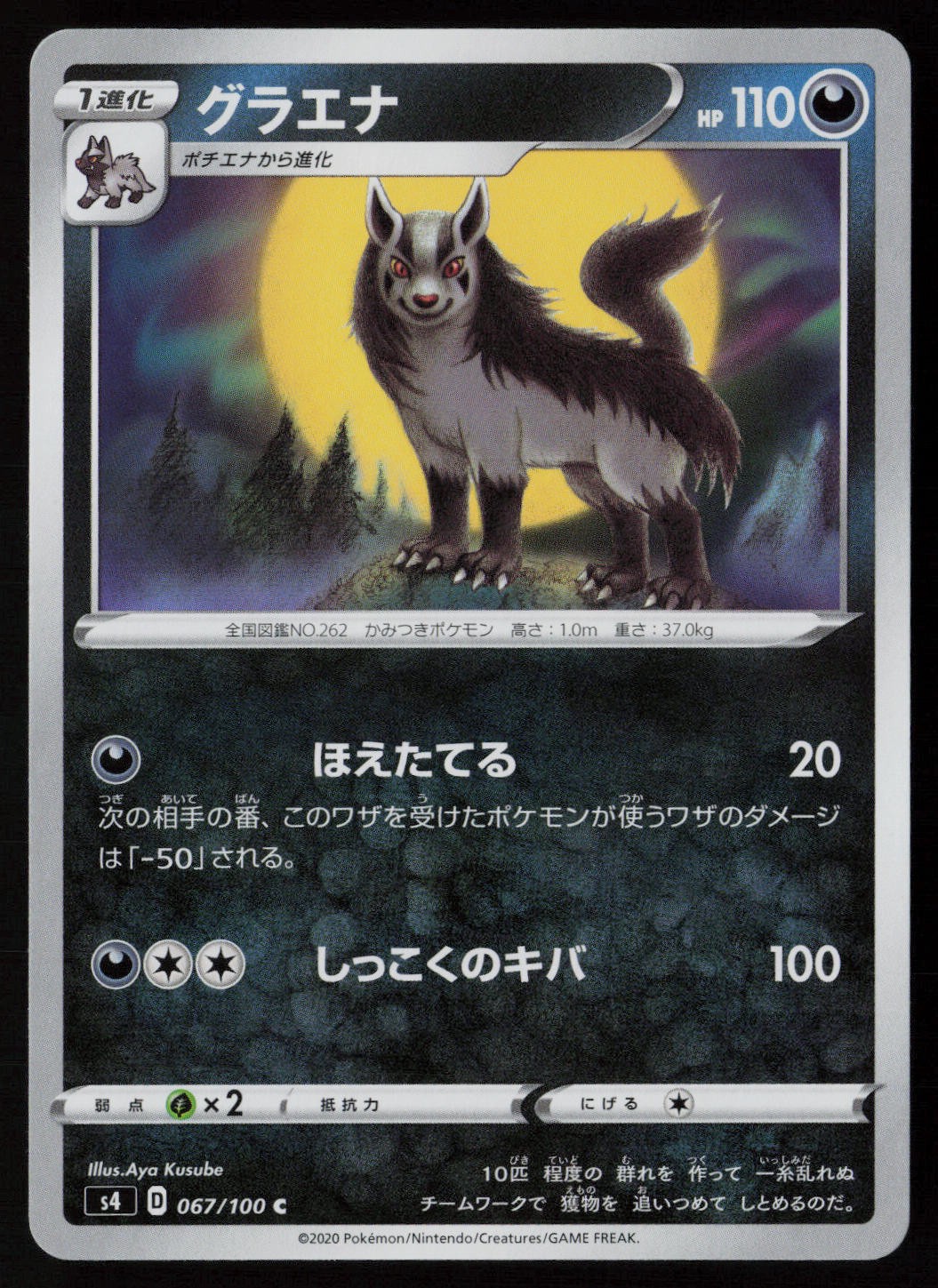 Mightyena 067/100 Pokemon Amazing Volt Tackle Common Japanese Near Mint