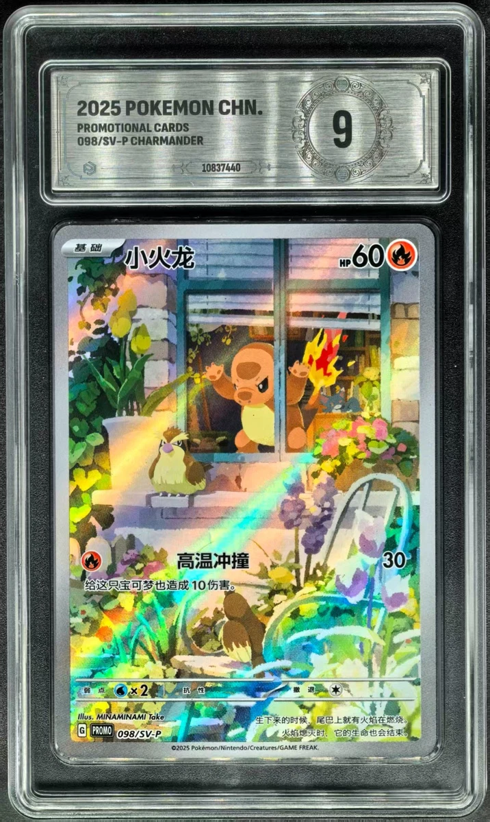 Pokmon TCG Grade 9 Chinese Collectible Individual Card Games for sale | eBay Pokmon TCG Grade 9 Chinese Collectible Individual Card Games for sale | eBay