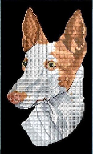 IBIZAN HOUND COUNTED CROSS STITCH PATTERNS - Picture 2 of 11